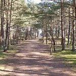 Apartmán Schoene 54qm 2 1-4 Personen An Der Kreptitzer Heide Auf Ruegen - Wandern Fahrradfahren Und Bakenberg B13