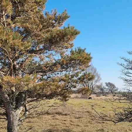 Schoene 54qm 2 1-4 Personen An Der Kreptitzer Heide Auf Ruegen - Wandern Fahrradfahren Und *