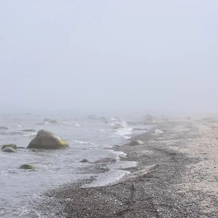 Schoene 54qm 2 1-4 Personen An Der Kreptitzer Heide Auf Ruegen - Wandern Fahrradfahren Und *