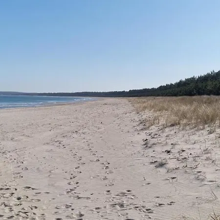 Schöne 54qm 2 1-4 Personen An Der Kreptitzer Heide Auf Rügen - Wandern Fahrradfahren Und Apartment Dranske