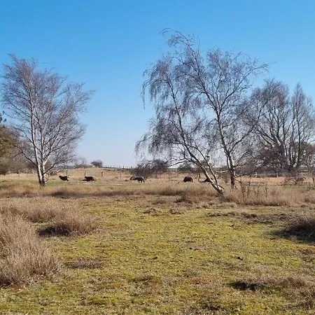 Schöne 54qm 2 1-4 Personen An Der Kreptitzer Heide Auf Rügen - Wandern Fahrradfahren Und Apartment *