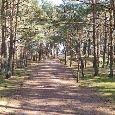 Appartement Schoene 54qm 2 1-4 Personen An Der Kreptitzer Heide Auf Ruegen - Wandern Fahrradfahren Und Bakenberg B13